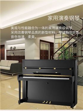 齐默曼-P8D