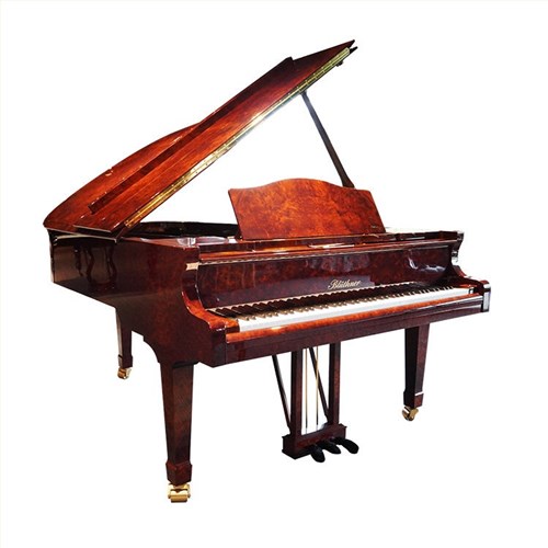 博兰斯勒 Model 6（演奏会）