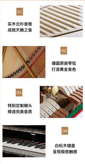 博兰斯勒Van Gogh_08